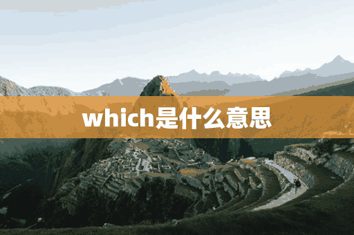 which是什么意思(which是什么意思中文翻译)